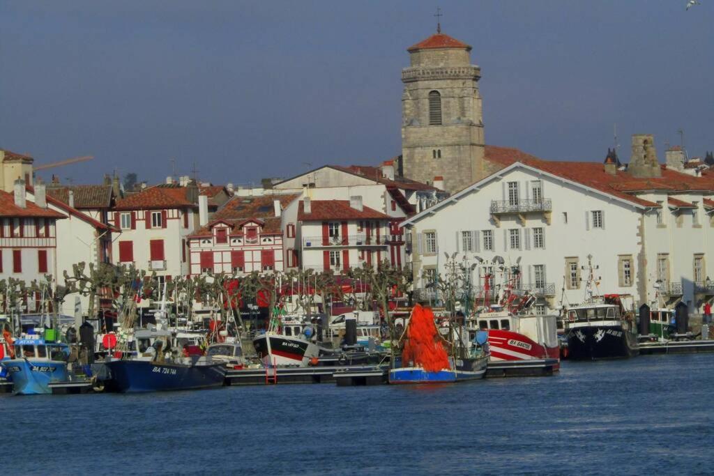 Maison Individuelle Cote Basque Сибур Экстерьер фото